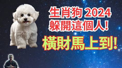 屬狗的|2024屬狗幾歲、2024屬狗運勢、屬狗幸運色、財位、禁忌